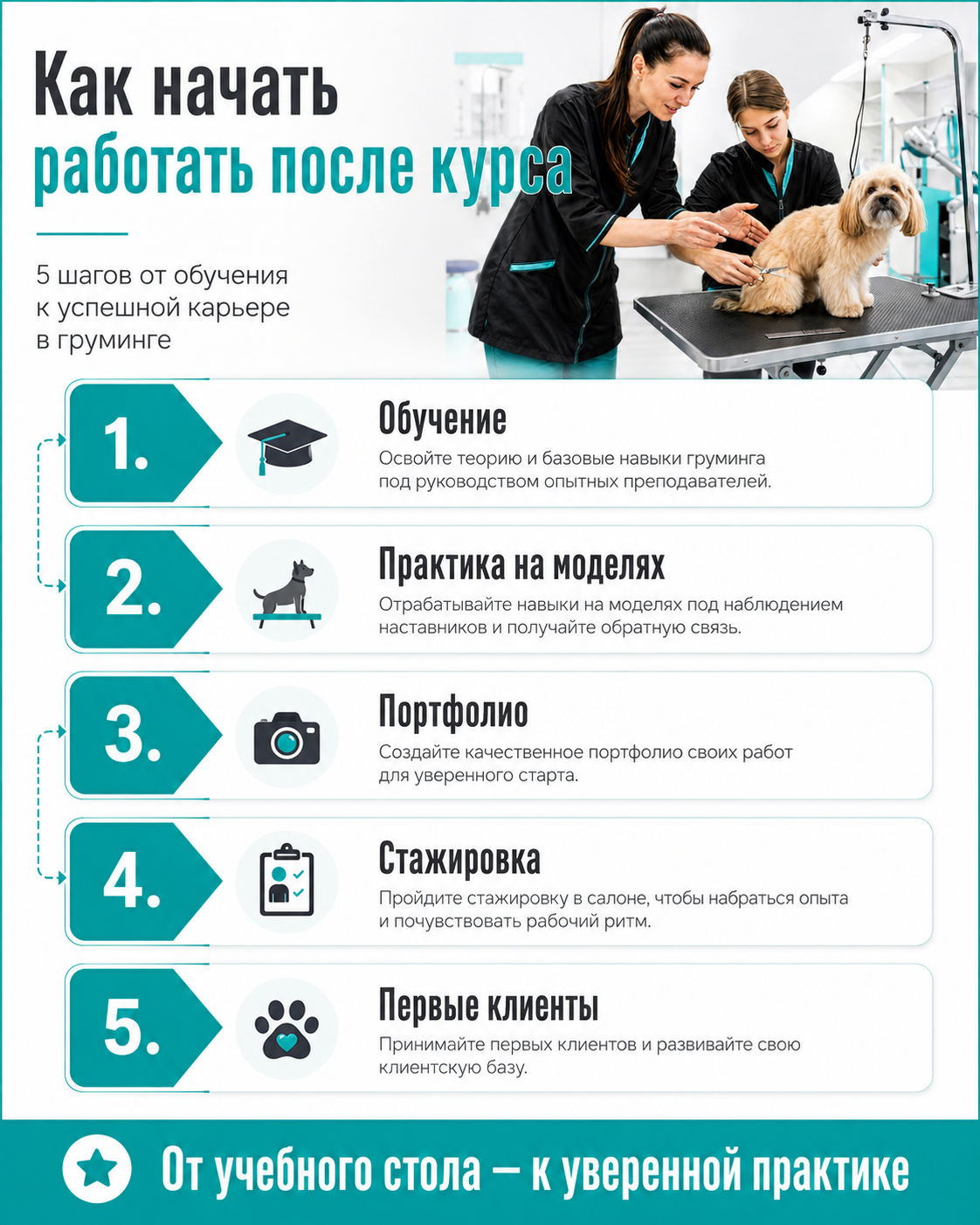 Как стать грумером с нуля обучение практика стажировка первые клиенты