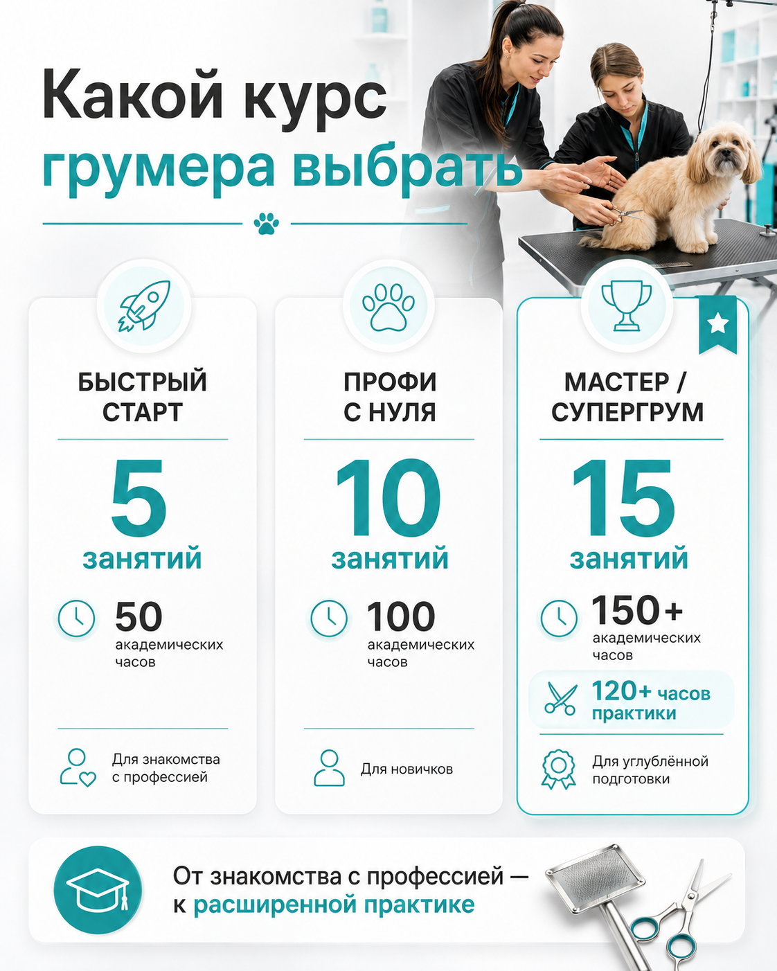 Программы обучения на грумера в Москве на 5 10 и 15 занятий