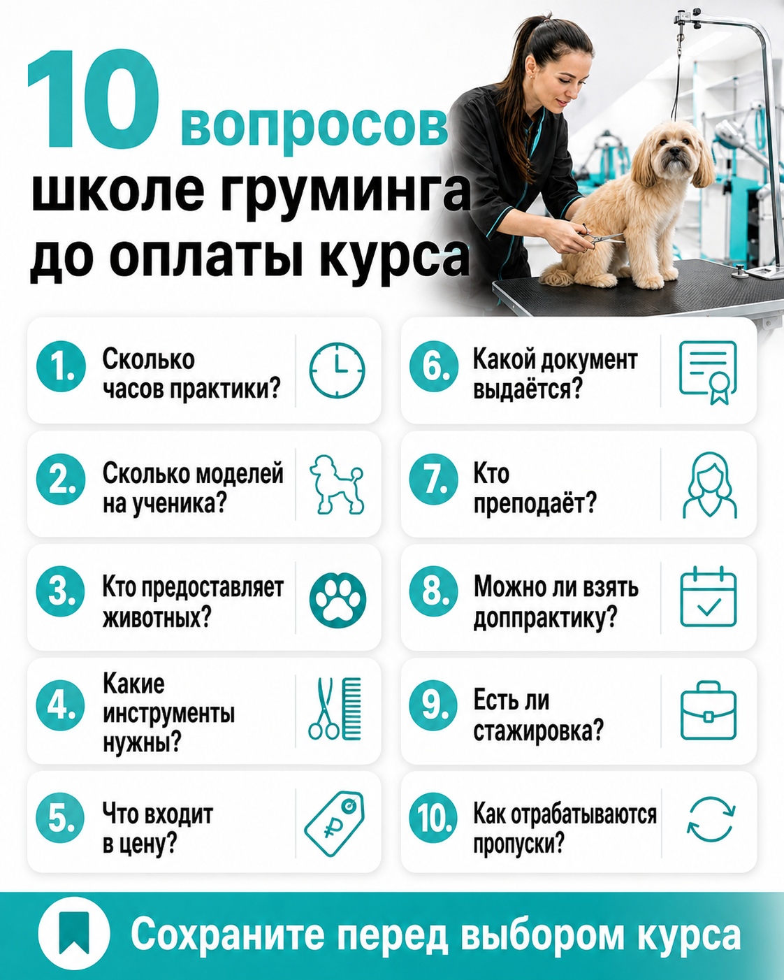 Как выбрать курсы грумера в Москве десять вопросов школе до оплаты